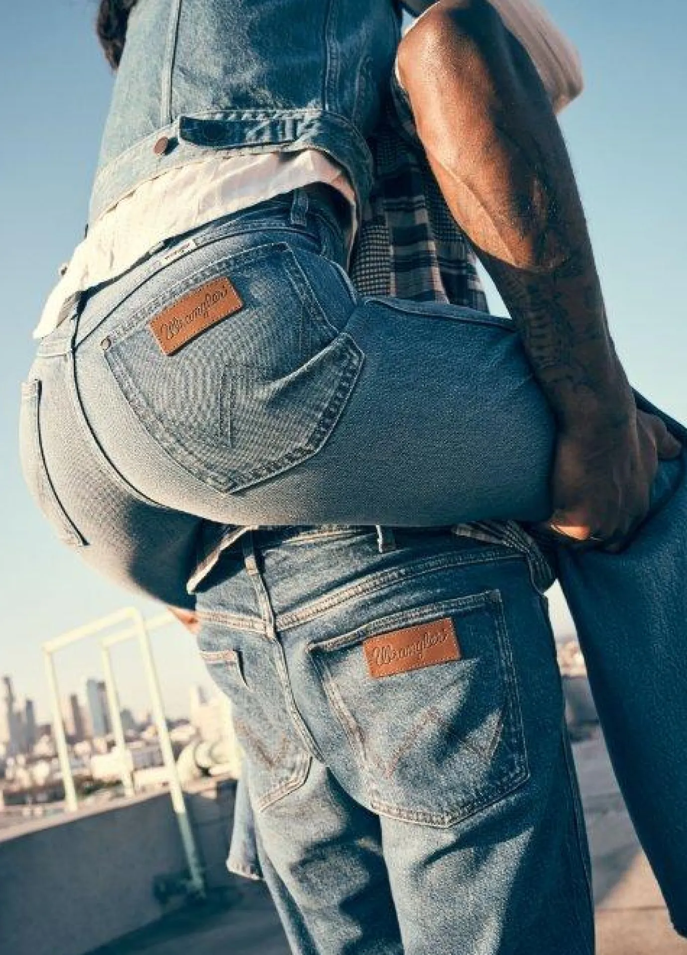 3-Pack Trunks